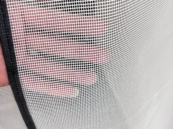 ستاره الناموس