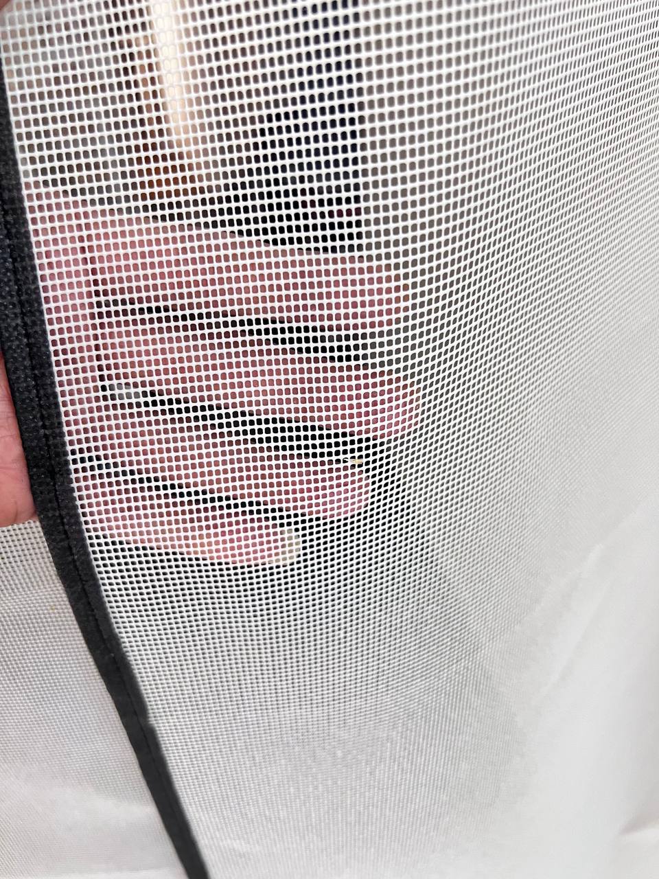 photo_5981156639228676573_y